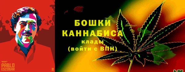 спиды Каменногорск