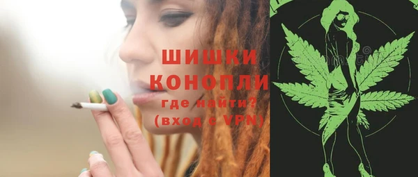 ГАЛЛЮЦИНОГЕННЫЕ ГРИБЫ Баксан